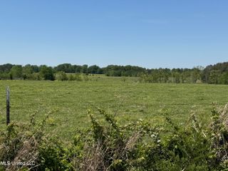 331 D Williams Road, Morton, MS 39117
