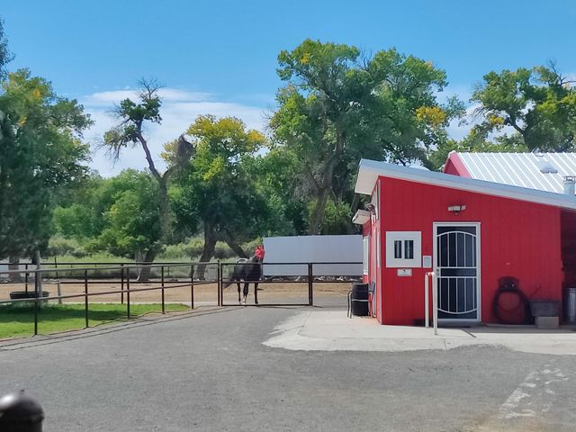 7 WILDWOOD Lane, Peralta, NM 87042