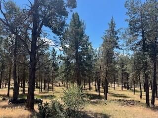 Crossbill Drive Lot 1016, Klamath Falls, OR 97601