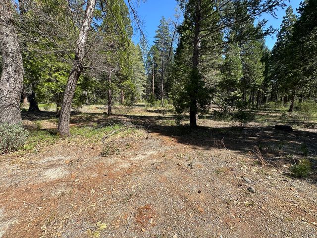 Lot 12 Speargrass Court, Shingletown, CA 96088