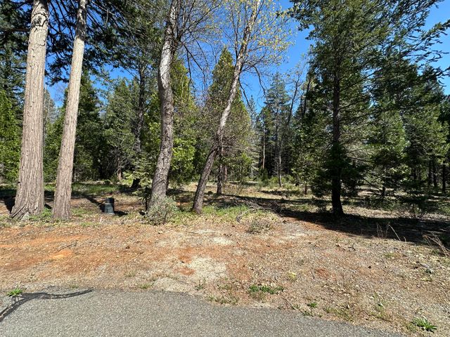 Lot 12 Speargrass Court, Shingletown, CA 96088