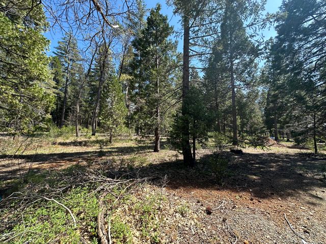 Lot 12 Speargrass Court, Shingletown, CA 96088