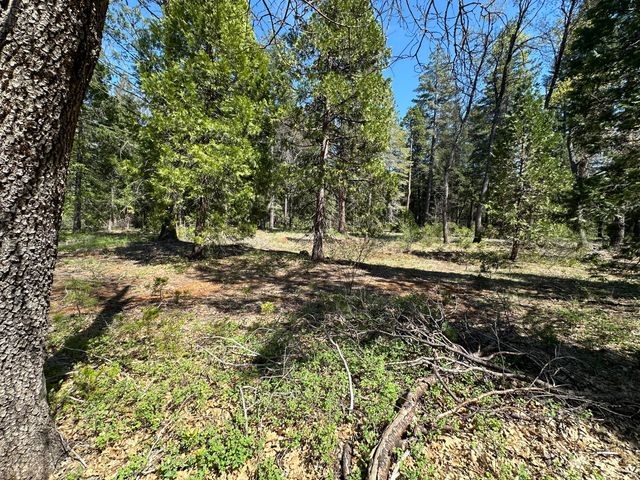 Lot 12 Speargrass Court, Shingletown, CA 96088