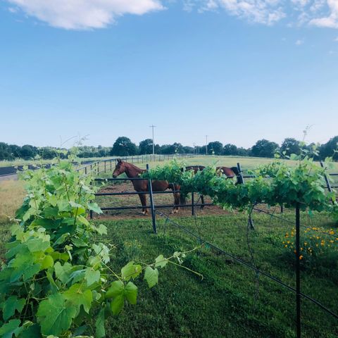 19055 Del Mar Drive, Cottonwood, CA 96022