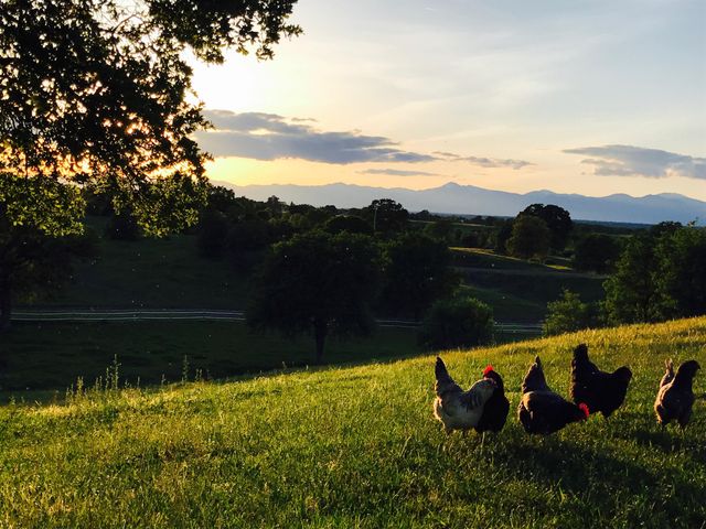 19055 Del Mar Drive, Cottonwood, CA 96022