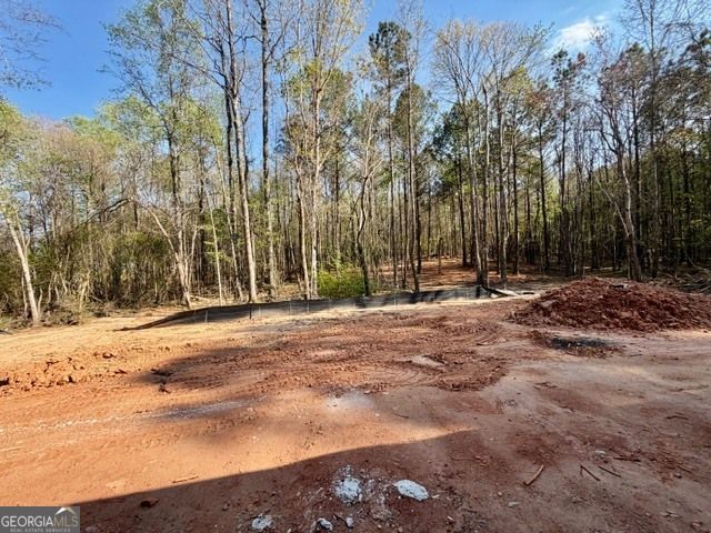 1306 Forrest Farms Drive, Greenville, GA 30222