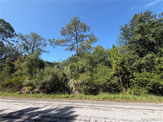 11887 W Flaxen Drive, Crystal River, FL 34428