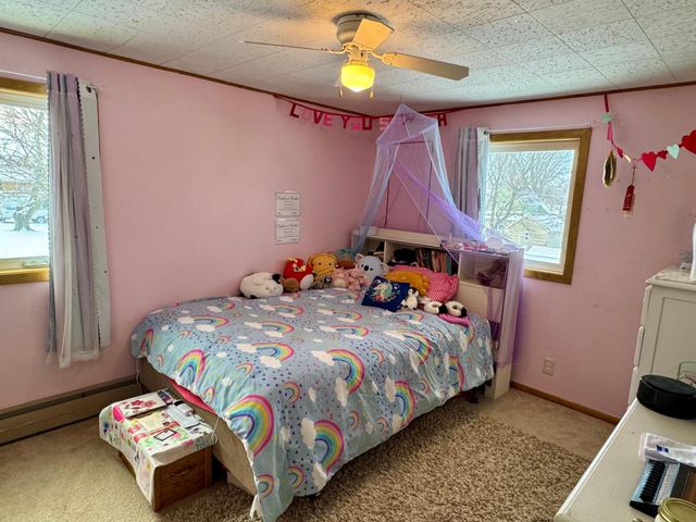 111 Cherry Avenue, Bird Island, MN 55310