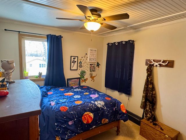 111 Cherry Avenue, Bird Island, MN 55310