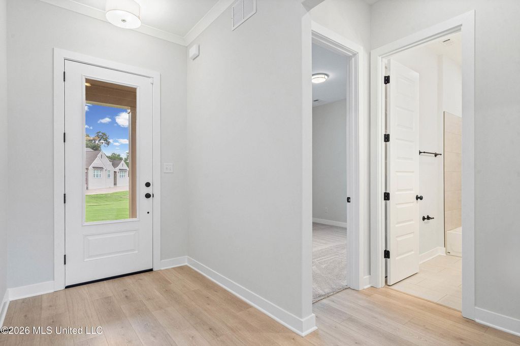 9093 Apple Orchard Cove, Olive Branch, MS 38654 — photo 3