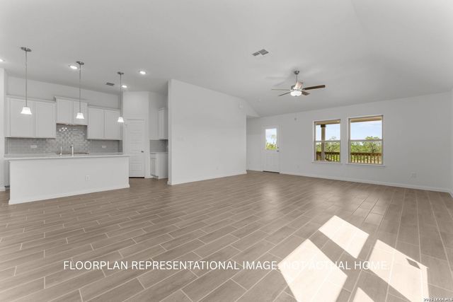 17508 Bigtooth Aspen Drive, Elmendorf, TX 78112