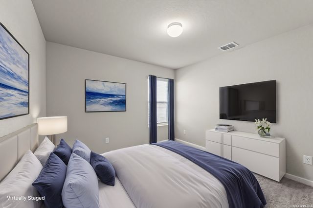 17508 Bigtooth Aspen Drive, Elmendorf, TX 78112