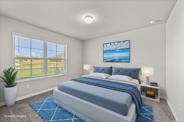 17508 Bigtooth Aspen Drive, Elmendorf, TX 78112