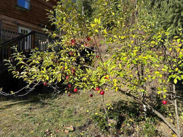 3979 Taylor Ranch Way, Loon Lake, WA 99148