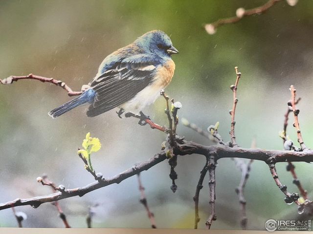 11730 Pointe View Dr, Longmont, CO 80503