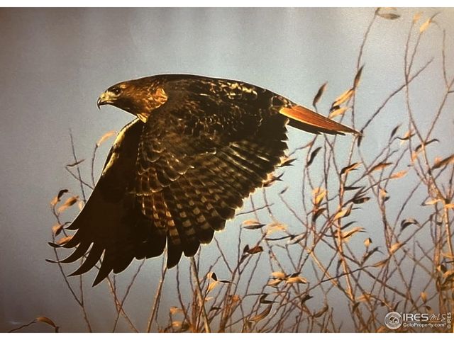 11730 Pointe View Dr, Longmont, CO 80503