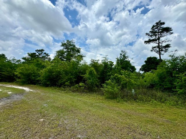 Lot 12 Grassy Pond Road, Chipley, FL 32428