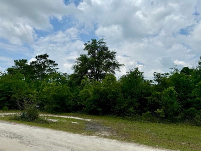 Lot 12 Grassy Pond Road, Chipley, FL 32428