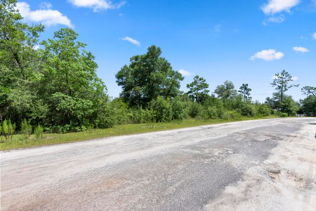 Lot 12 Grassy Pond Road, Chipley, FL 32428