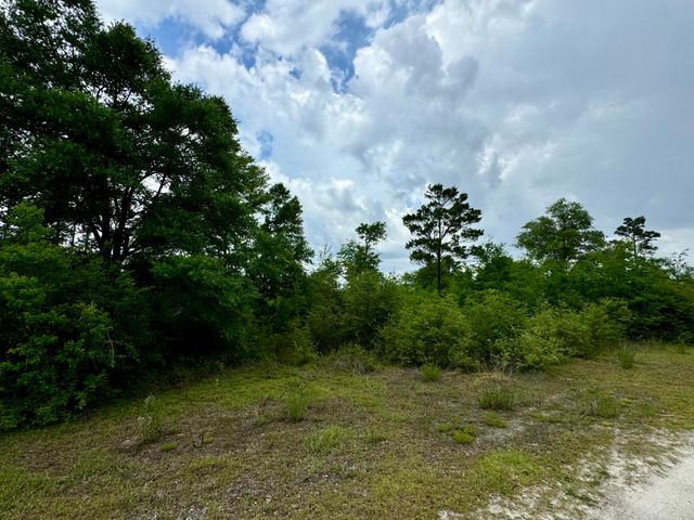 Lot 12 Grassy Pond Road, Chipley, FL 32428