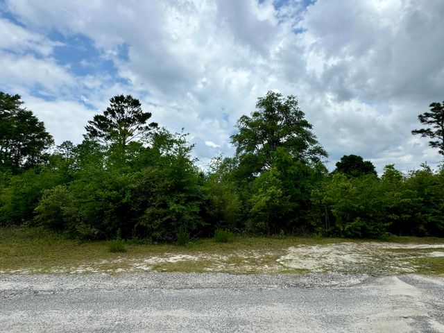 Lot 12 Grassy Pond Road, Chipley, FL 32428