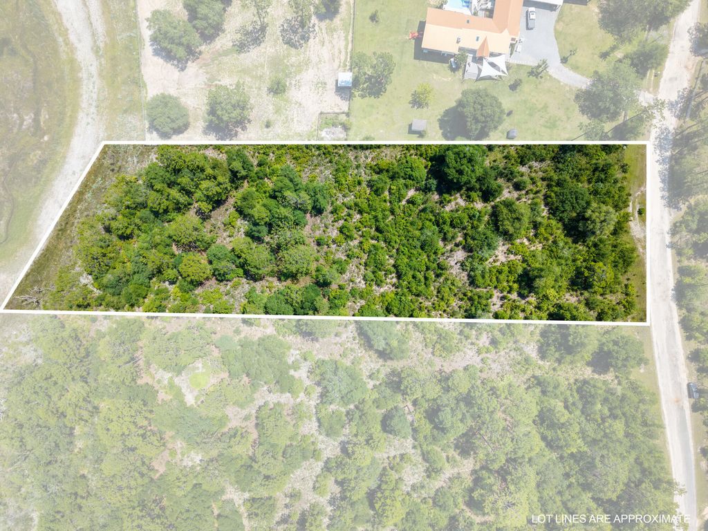 Lot 12 Grassy Pond Road, Chipley, FL 32428