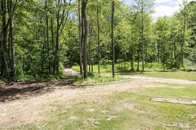 3650 Rabidue Road, Clyde, MI 48049