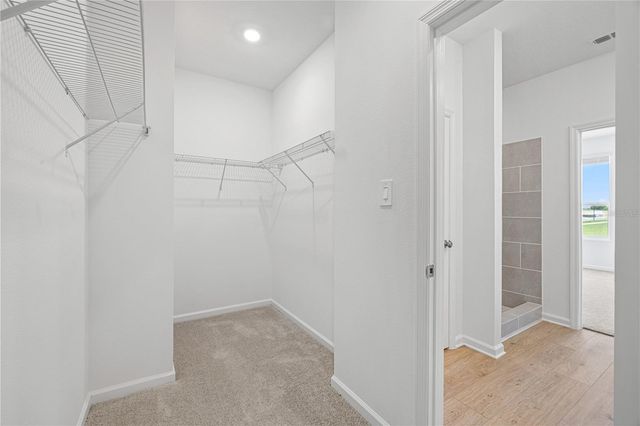 6000 WELLBEING WAY, Clermont, FL 34714