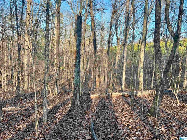 0009 SPRINGHOLLOW ROAD, Ashville, AL 35953
