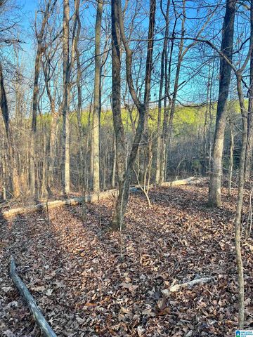 0009 SPRINGHOLLOW ROAD, Ashville, AL 35953