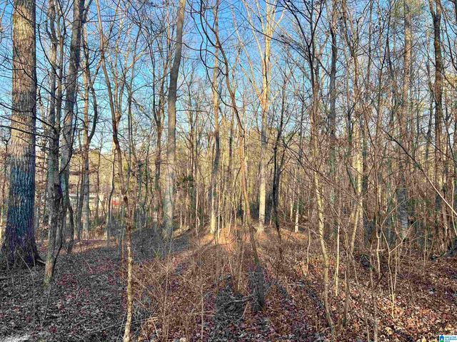 0009 SPRINGHOLLOW ROAD, Ashville, AL 35953