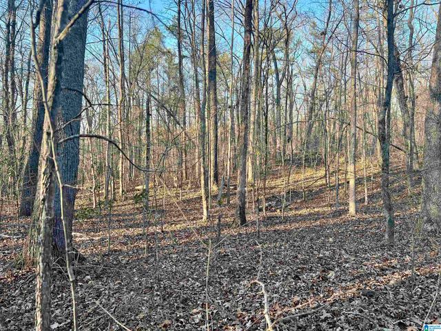 0009 SPRINGHOLLOW ROAD, Ashville, AL 35953