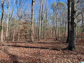 0009 SPRINGHOLLOW ROAD, Ashville, AL 35953