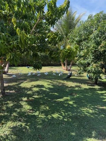 14721 SW 67th Ave, Coral Gables, FL 33158