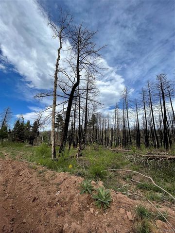 986 Levy Place, Fort Garland, CO 81133