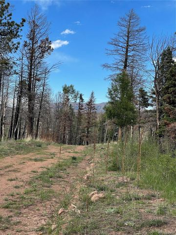 986 Levy Place, Fort Garland, CO 81133