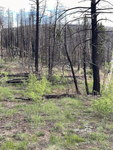 986 Levy Place, Fort Garland, CO 81133