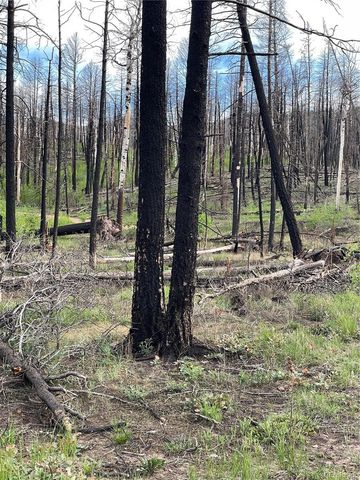 986 Levy Place, Fort Garland, CO 81133