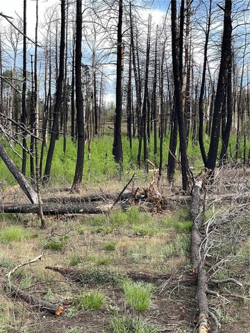 986 Levy Place, Fort Garland, CO 81133