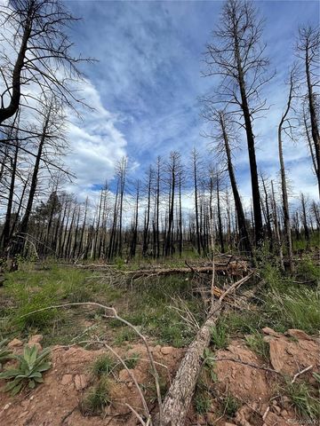 986 Levy Place, Fort Garland, CO 81133