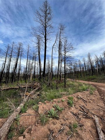 986 Levy Place, Fort Garland, CO 81133