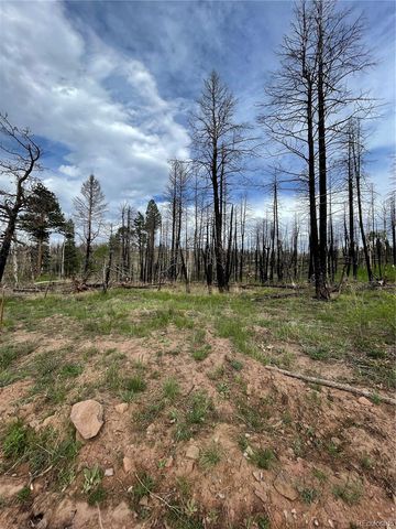 986 Levy Place, Fort Garland, CO 81133