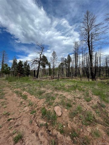 986 Levy Place, Fort Garland, CO 81133