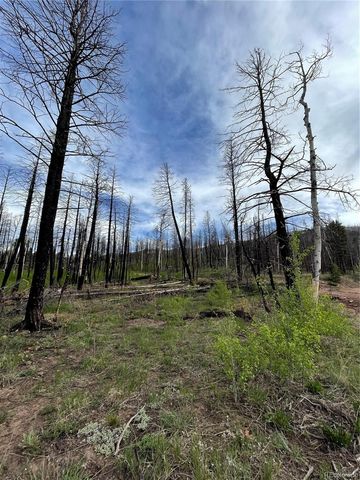 986 Levy Place, Fort Garland, CO 81133