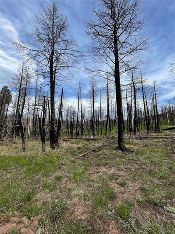 986 Levy Place, Fort Garland, CO 81133