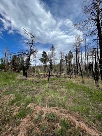 986 Levy Place, Fort Garland, CO 81133