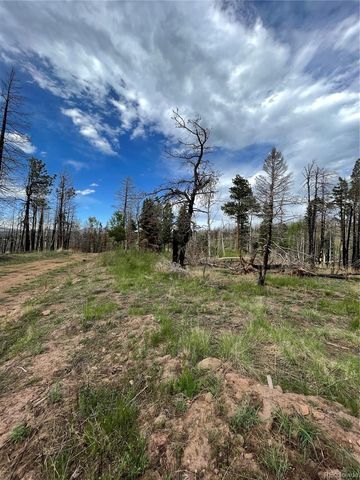 986 Levy Place, Fort Garland, CO 81133