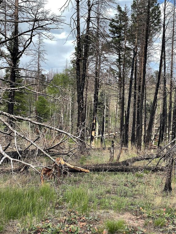 986 Levy Place, Fort Garland, CO 81133