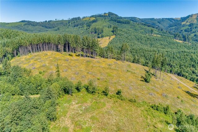 393 Hansen EXT Road, Woodland, WA 98674