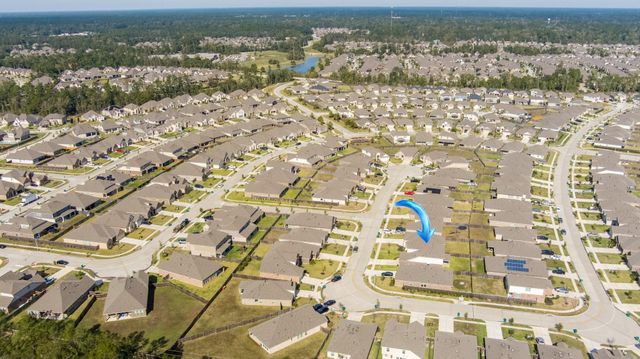 19141 Pegara Manor Drive, New Caney, TX 77357